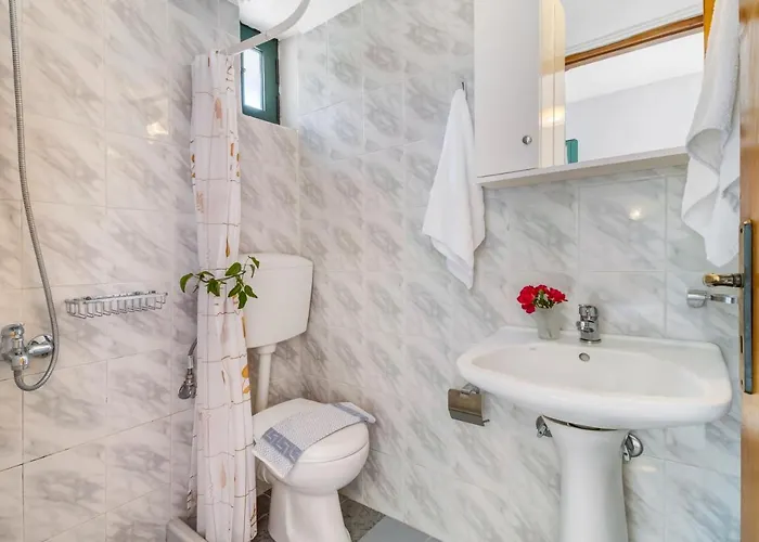 Nikoleta 4 * Nikiana